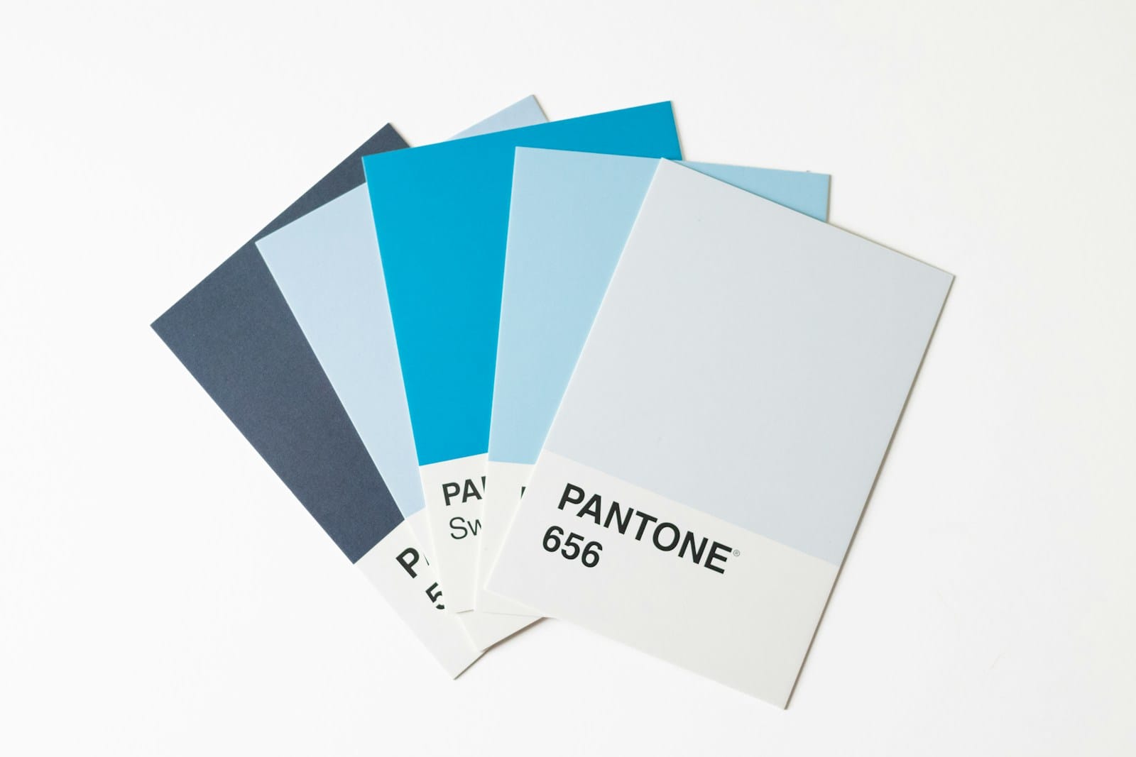 Kombinasi warna pastel dan neon untuk branding kreator konten